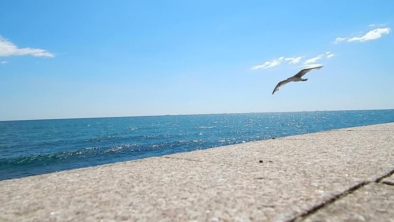 Aqua Mamaia Luminita Daire Dış mekan fotoğraf